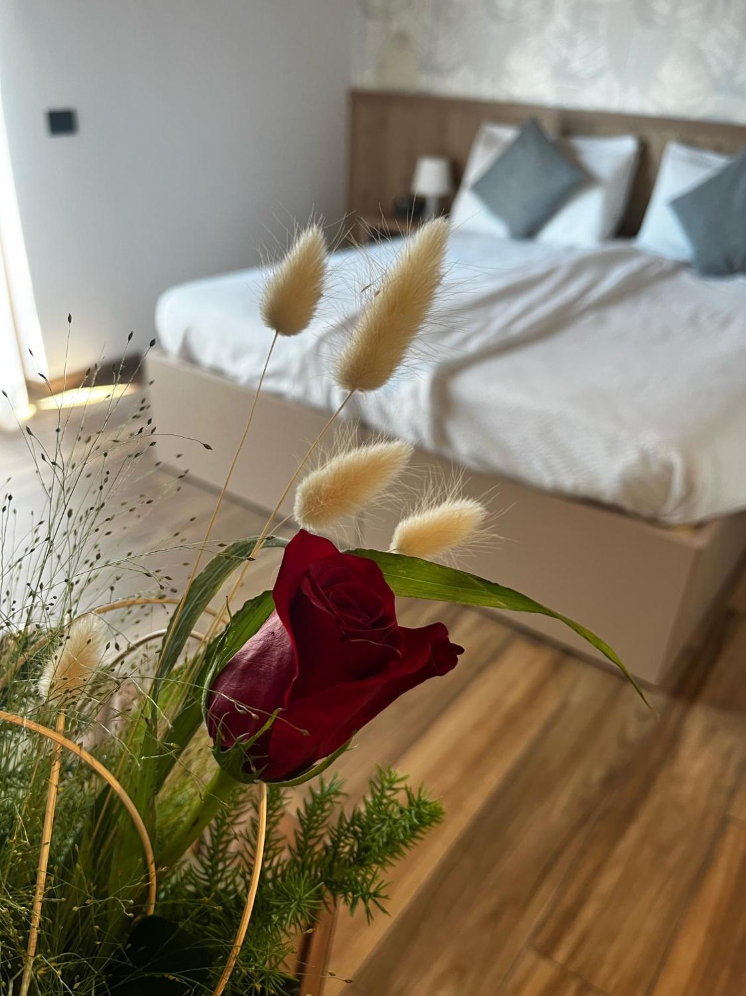 Agriturismo Maso Miri Trento Eksteriør bilde
